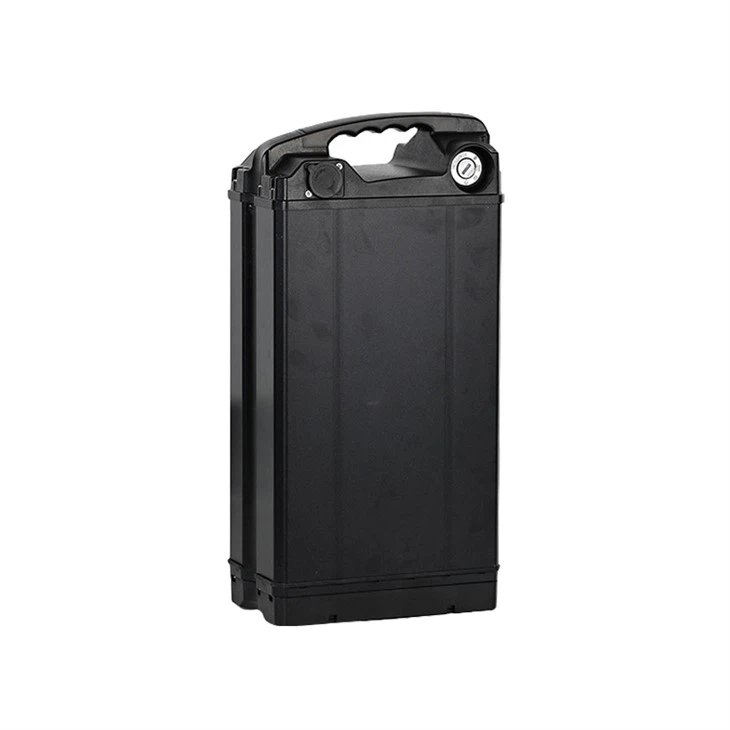 Lithium Battery For Electric Bike 48v